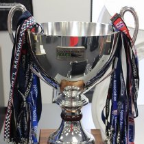 Collection of lanyards and credentials