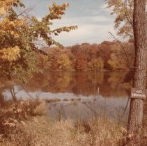 135th Street and Harlem Avenue, 1983