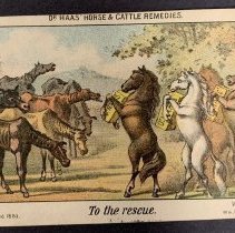 Advertisement for Dr. Haas' Horse and Cattle Remedies, c. 1890s