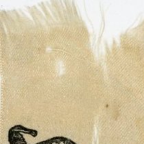 31st Annual 100th Illinois Infantry Regiment Ribbon, 1915