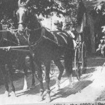 30.horse-drawn carriages, 1890s