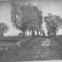 35.Unid. location but perhaps old Wiss. Avenue near Livezey House