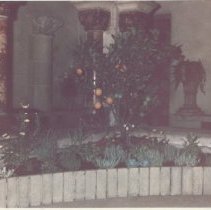 Page 19 photo detail