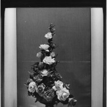 Page 23 photo detail