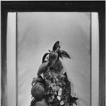 Page 26 photo detail