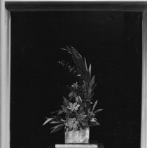 Page 27 photo detail