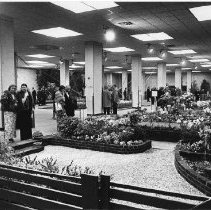 Page 38 photo detail