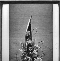 Page 39 photo detail