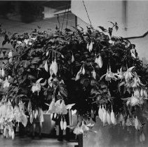 Page 44 photo details