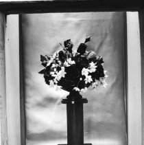 Page 46 photo detail