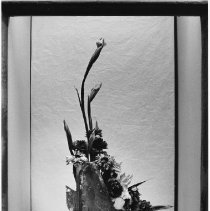 Page 49 photo detail