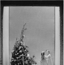 Page 63 photo detail