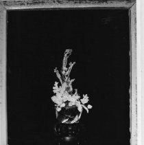 Page 64 photo detail