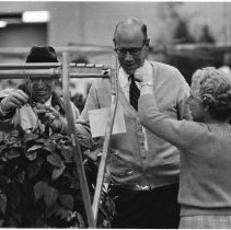 Page 66 photo detail