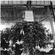 Page 67 photo detail