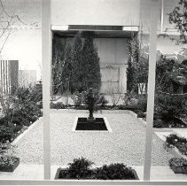 Page 84 photo detail