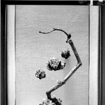 Page 95 photo detail