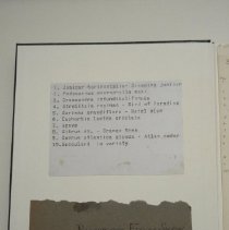 Loose inside front cover