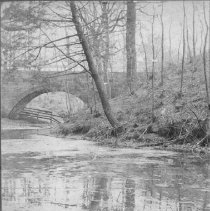 Unknown Pond/ Creek in Wissahickon