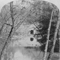 Bridge, Wissahickon Creek