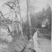 Wissahickon Road near Burnt Mills