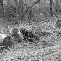 34.Debris dumped on CHA property on Springfield Avenue