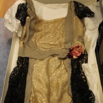 Golden Lace and Chiffon Dress