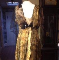 Yellow/gold Gown with black netted lace, back
