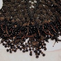 Black Woven Beaded Jacket