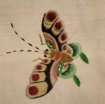 Chinese robe, butterfly embroidery
