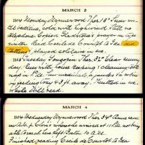 Estelle's Diary - tatting towels