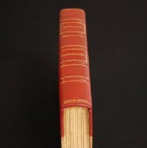 Heidenmauer spine photo