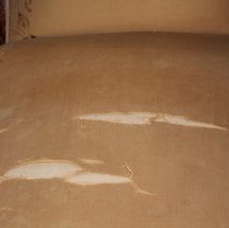 Condition before reproduction