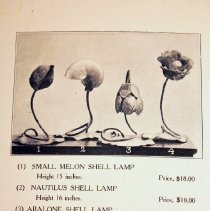 Shell  Lamp Catalog