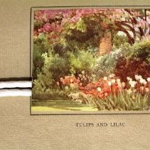 Waterfield illustration