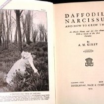 Title page and front illustration