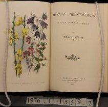 Title page and facing illustration