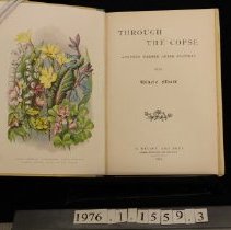 front illustration and title page