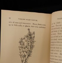 sample interior illustration