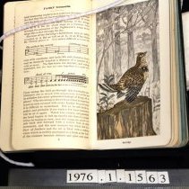 Sample illustration, partridge