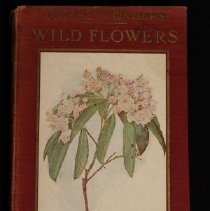 Front cover w/illustration