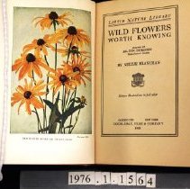 Tiitle and frontispiece