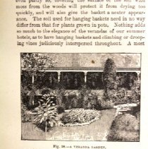 Gardening for Pleasure: A Guide to the Amateur in the Fruit, Vegetable, and