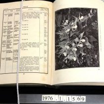 Sample monthly entry & illustration