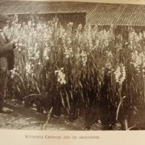 Wilson Plant Hunting photo of author