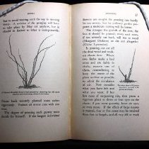 ROSES AND HOW TO GROW THEM/ A Manual for Growing Roses in the Garden and Un