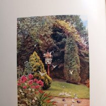 Beatrice Parsons illustration