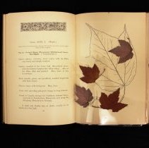 Sample botanical specimen