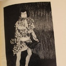 Sample illustration 2