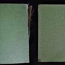 Conservation before after back cover
